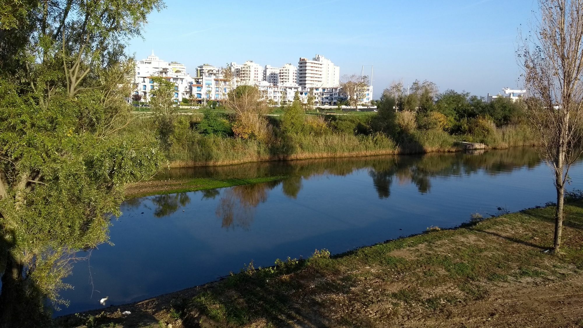 Portoverde Beach Apartments Мисано Адриатико Екстериор снимка